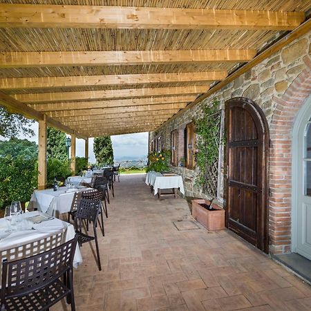 Agriturismo Podere L'Aione Скансано Экстерьер фото