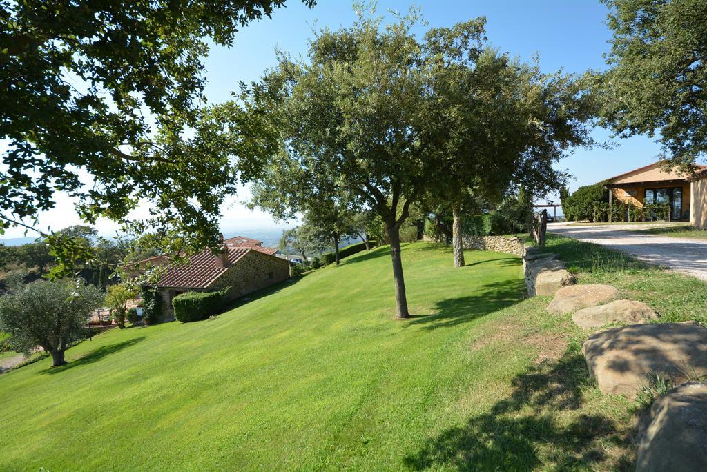 Agriturismo Podere L'Aione Скансано Экстерьер фото