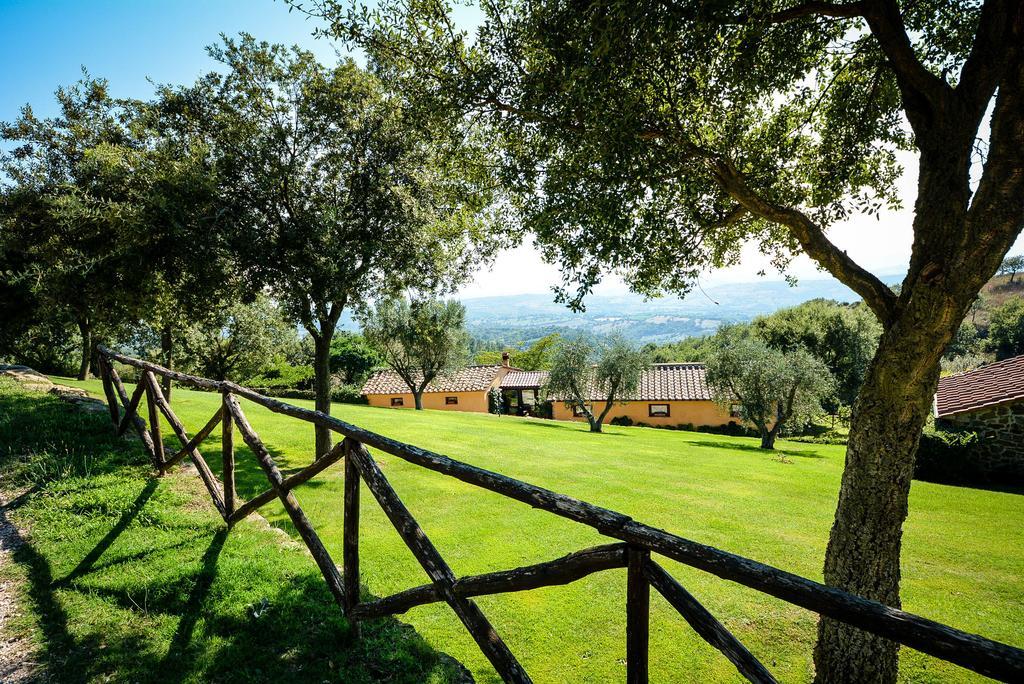 Agriturismo Podere L'Aione Скансано Экстерьер фото